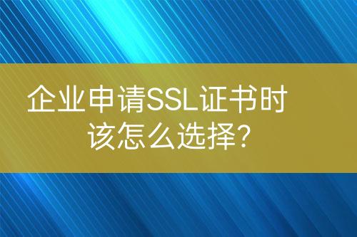 企业申请SSL证书时该怎么选择?