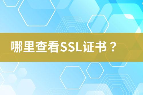 哪里查看SSL证书？