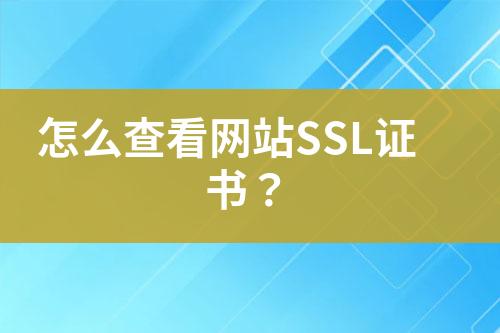 怎么查看网站SSL证书？