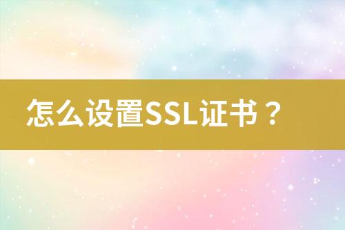 怎么设置SSL证书？