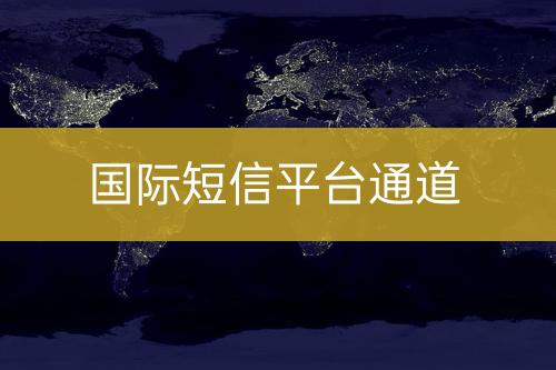 国际短信平台通道