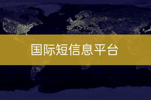 国际短信息平台