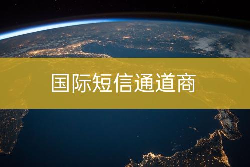 国际短信通道商