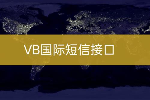 VB国际短信接口