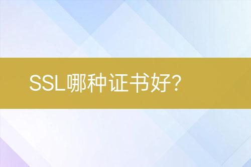 SSL哪种证书好？