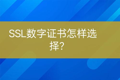 SSL数字证书怎样选择？