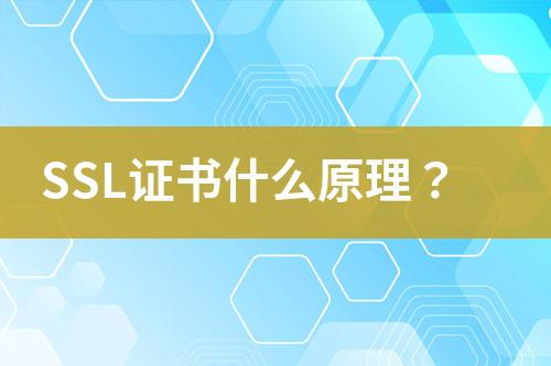 SSL证书什么原理？