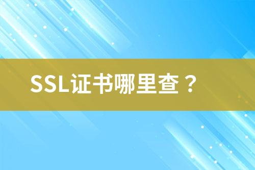 SSL证书哪里查？