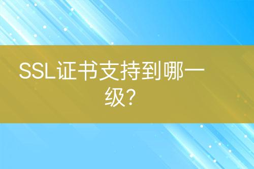 SSL证书支持到哪一级？