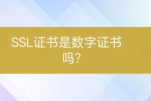 SSL证书是数字证书吗？