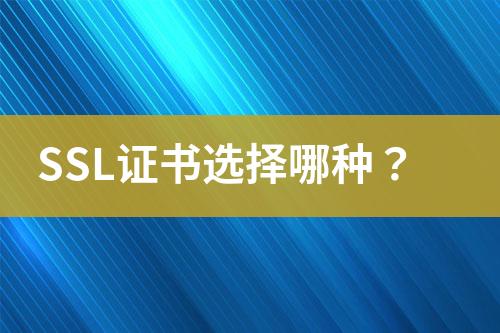 SSL证书选择哪种？
