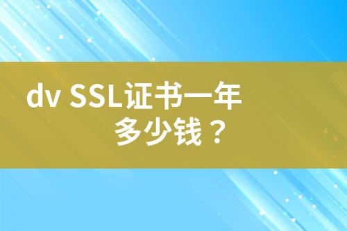 dv SSL证书一年多少钱？