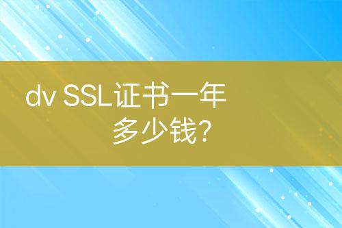 dv SSL证书一年多少钱？