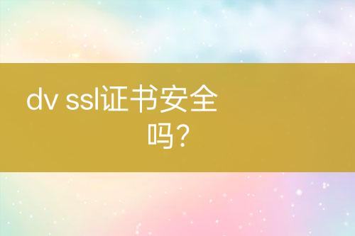 dv ssl证书安全吗？