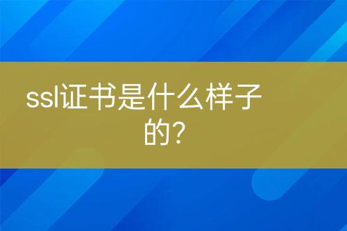 ssl证书是什么样子的？