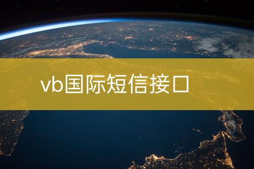 vb国际短信接口