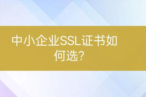 中小企业SSL证书如何选？