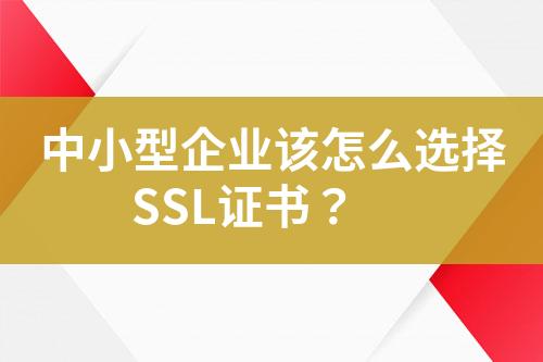 中小型企业该怎么选择SSL证书？