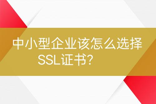 中小型企业该怎么选择SSL证书？