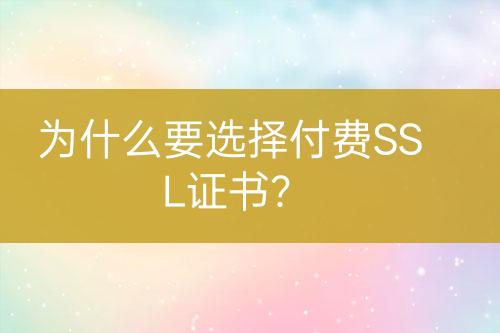 为什么要选择付费SSL证书？