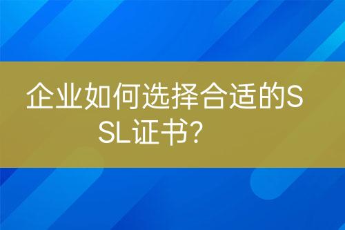 企业如何选择合适的SSL证书？