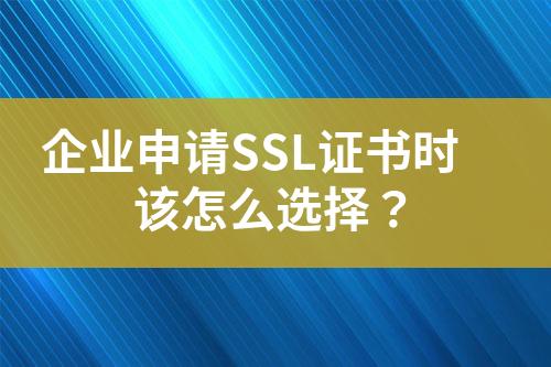 企业申请SSL证书时该怎么选择？