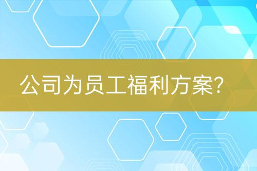 公司为员工福利方案？