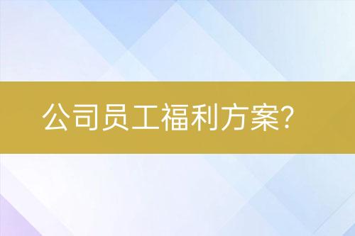 公司员工福利方案？