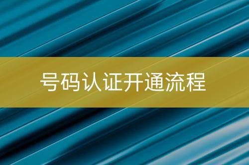 号码认证实施流程