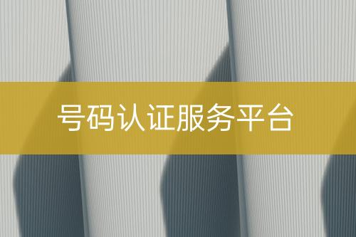 号码认证服务平台