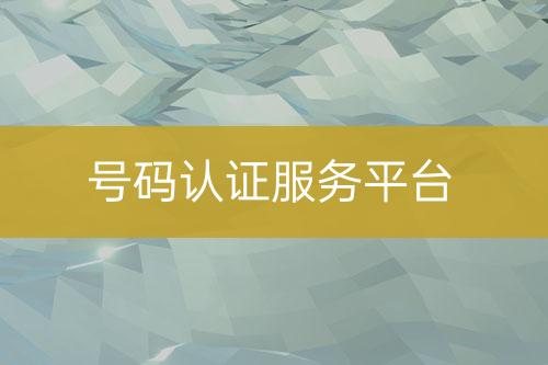 号码认证服务平台