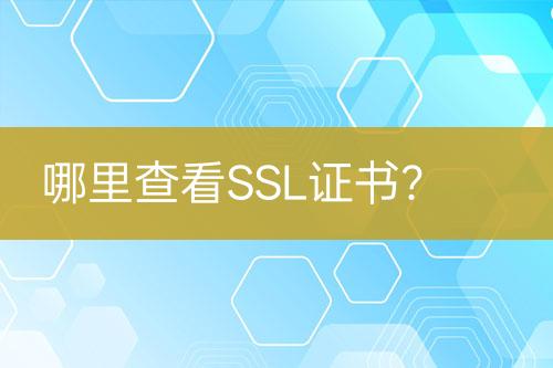 哪里查看SSL证书？