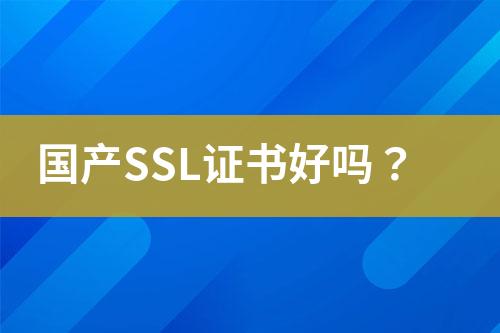 国产SSL证书好吗？