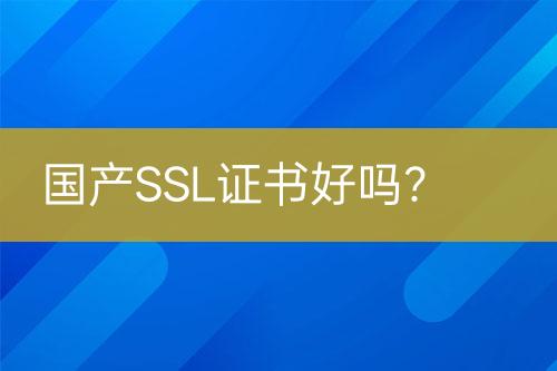 国产SSL证书好吗？