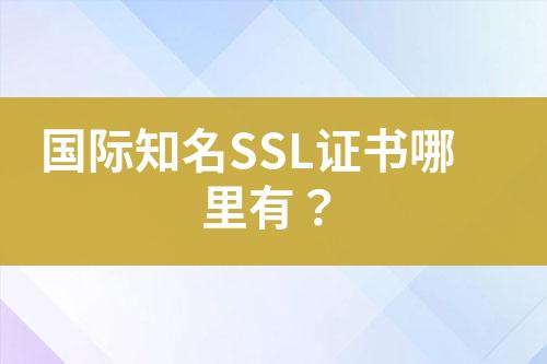 国际知名SSL证书哪里有？