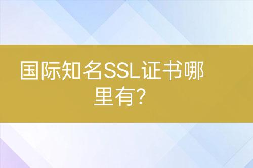 国际知名SSL证书哪里有？