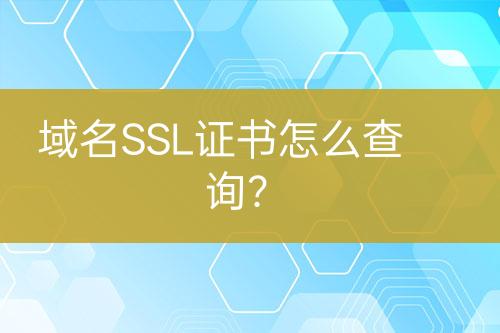 域名SSL证书怎么查询？