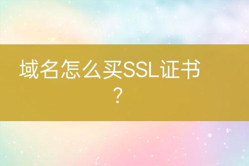 域名怎么买SSL证书？