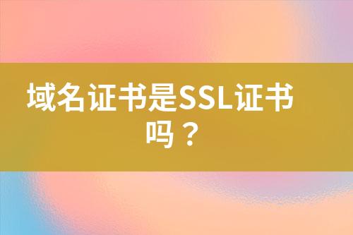 域名证书是SSL证书吗？