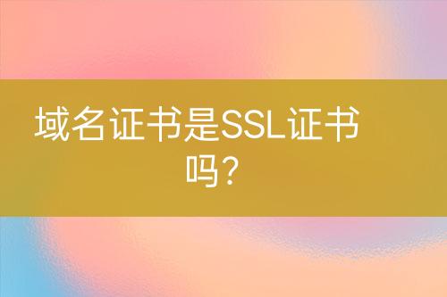 域名证书是SSL证书吗？