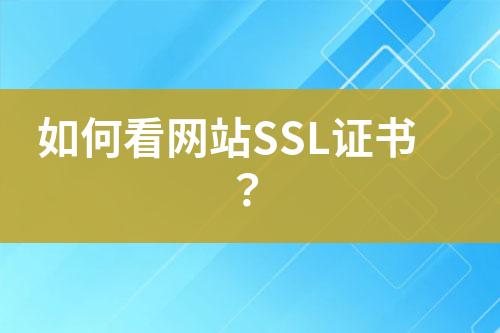 如何看网站SSL证书？
