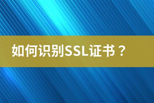 如何识别SSL证书？