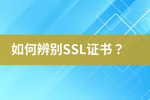 如何辨别SSL证书？