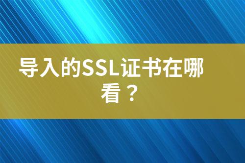 导入的SSL证书在哪看？