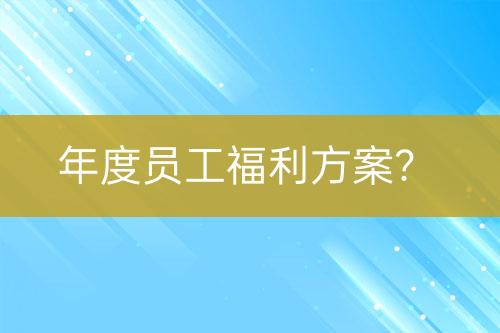 年度员工福利方案？