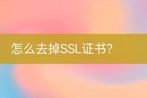 怎么去掉SSL证书？