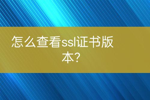 怎么查看ssl证书版本？