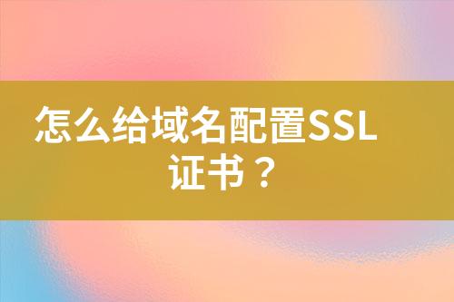 怎么给域名配置SSL证书？