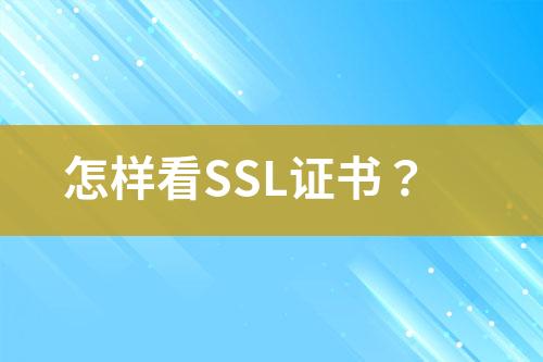 怎样看SSL证书？