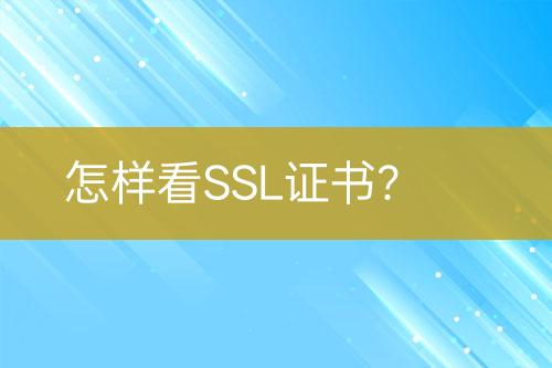 怎样看SSL证书？